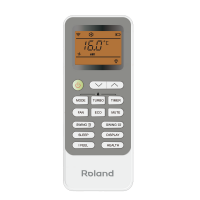 Roland RD-WZ24HSS/N1